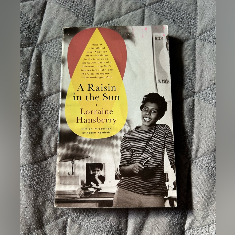 A Raisin in the Sun by Lorraine Hansberry Book Novel Play Fiction Paperback